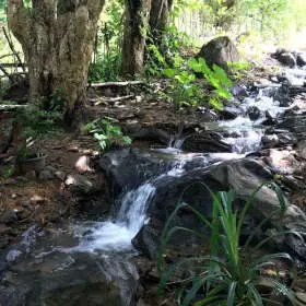 water-love-sten-lodge-dapur-tara-flores-labuan-bajo-komodo